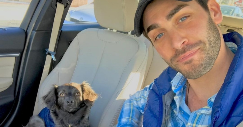 Which title should you watch first?